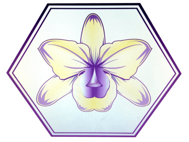 Kataliya enterprises logo